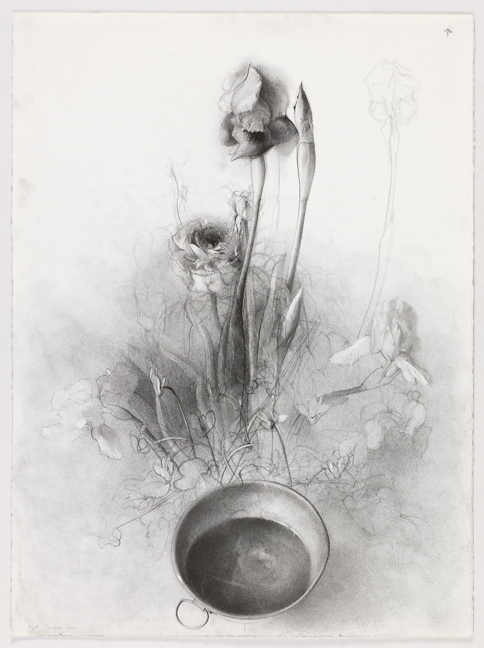 Sigal Tsabari, I Drew Myself a Field, 2020, pencil on paper, 76x56 cm